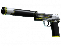 USP-S Torque